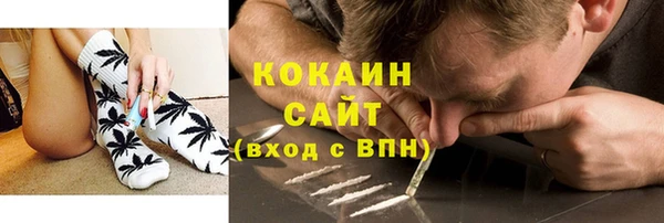 сатива Балахна