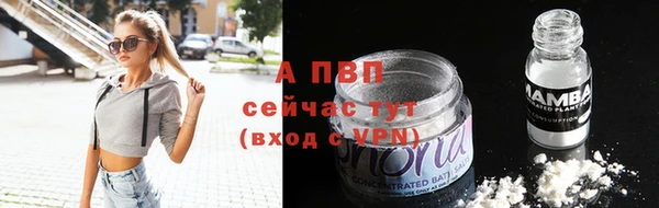 сатива Балахна