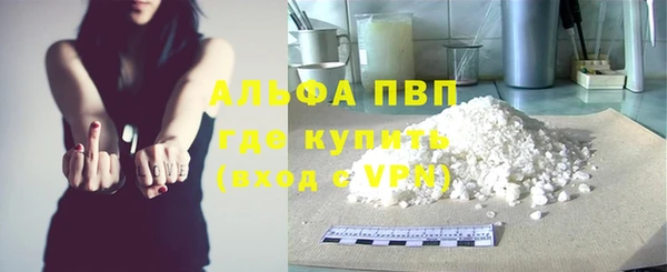 сатива Балахна