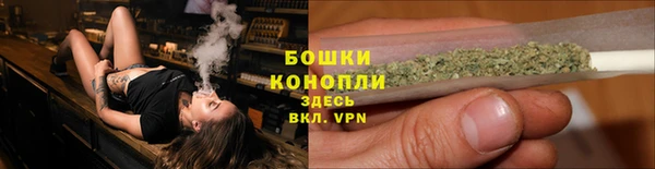 сатива Балахна