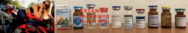 сатива Балахна