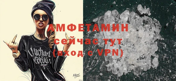 сатива Балахна