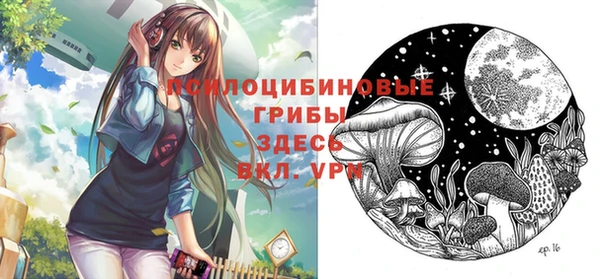 кокс Баксан