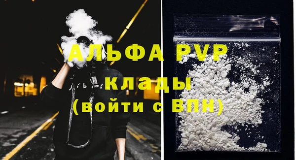 сатива Балахна